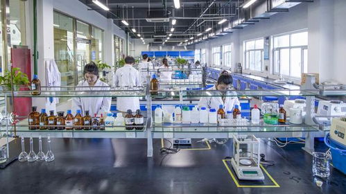 龍佰集團入圍 2021民營企業研發投入500家 2021民營企業發明專利500家 榜單
